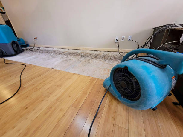 Professional Flood Damage Cleanup technician working in Branson, CO